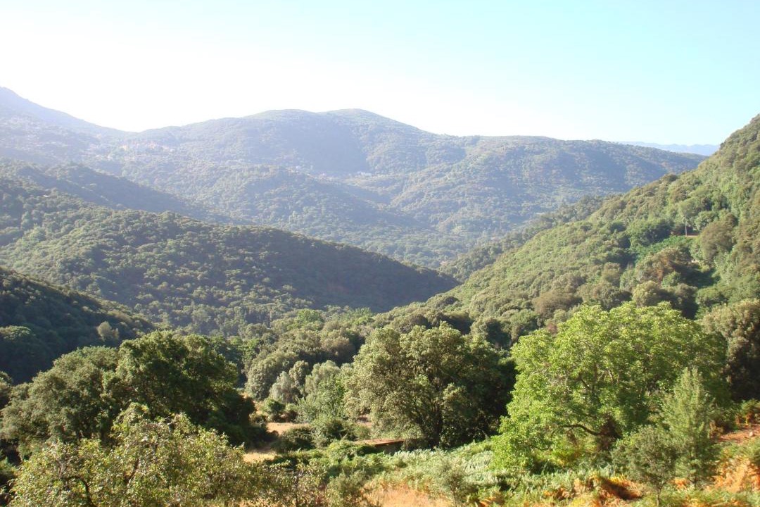 Photo of Others in Loreto-di-Tallano