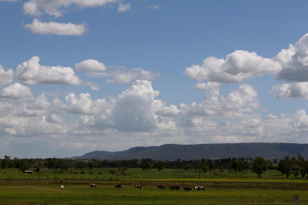 Photo of Others in Scone