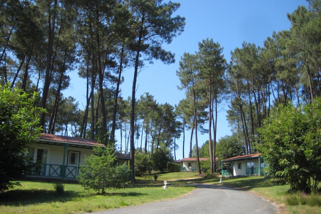 Photo of Others in Tamnies