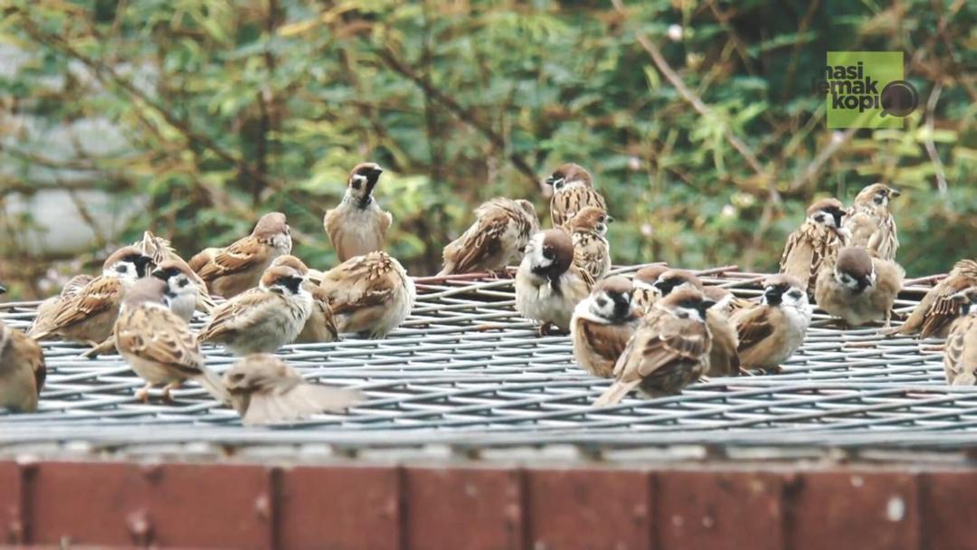 Photo of Others in Janda Baik