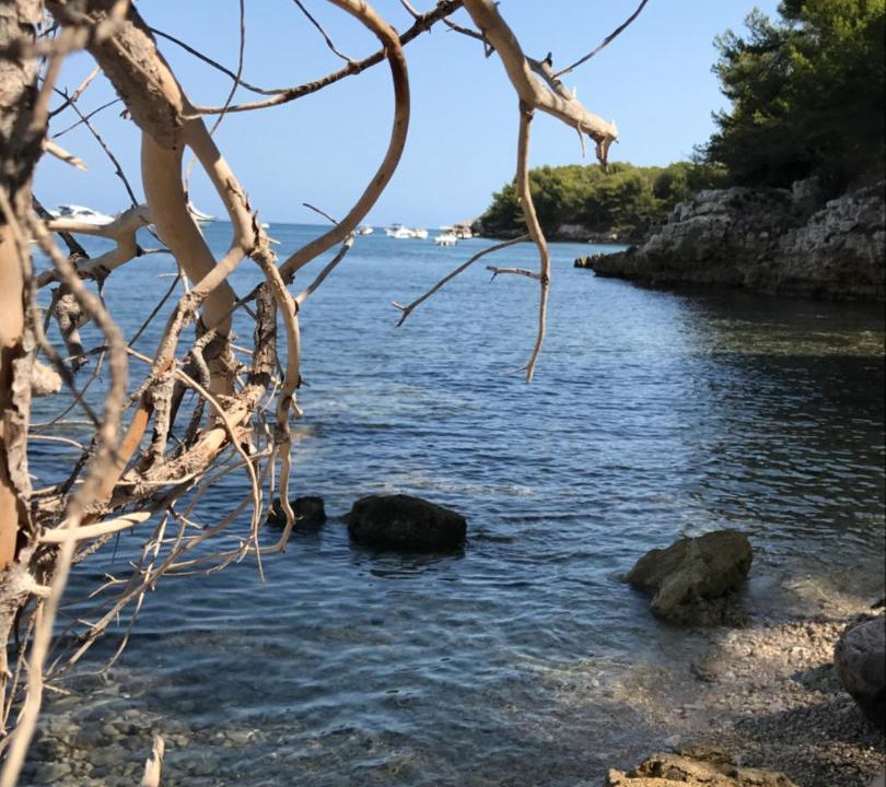 Photo of Outdoor in Theoule-sur-Mer