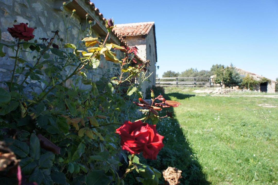 Photo of Others in La Puebla de Valverde