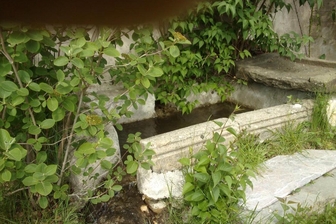 Photo of Others in Montmaur
