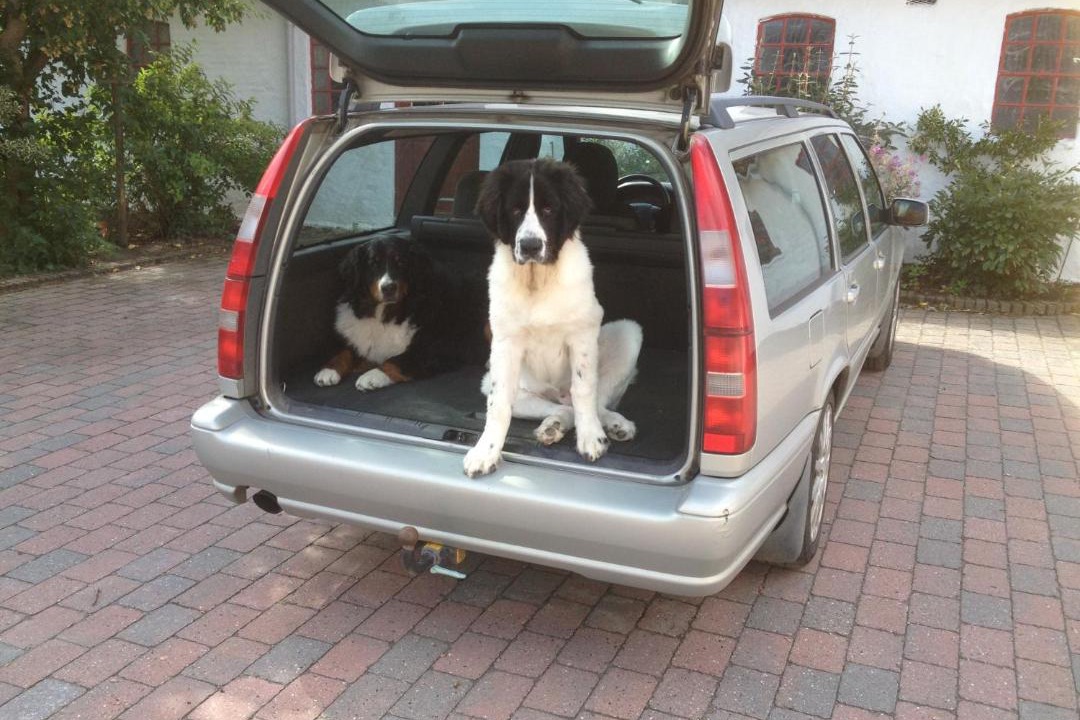 Photo of Others in Herlufmagle