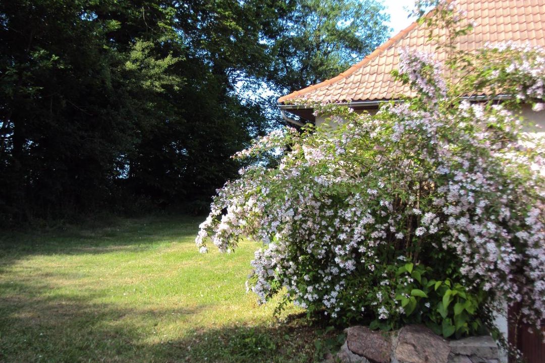 Photo of Others in Barrais-Bussolles