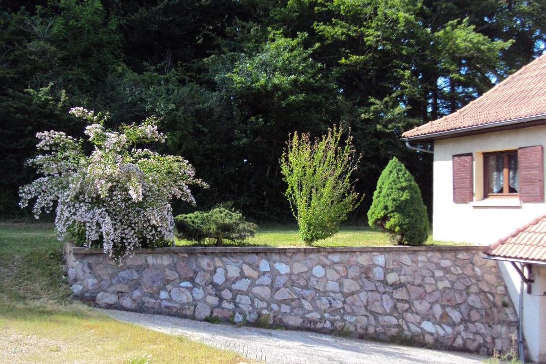 Photo of Others in Barrais-Bussolles