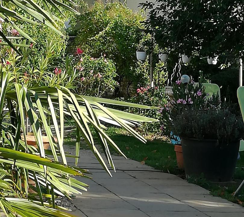 Photo of Others in Chabournay