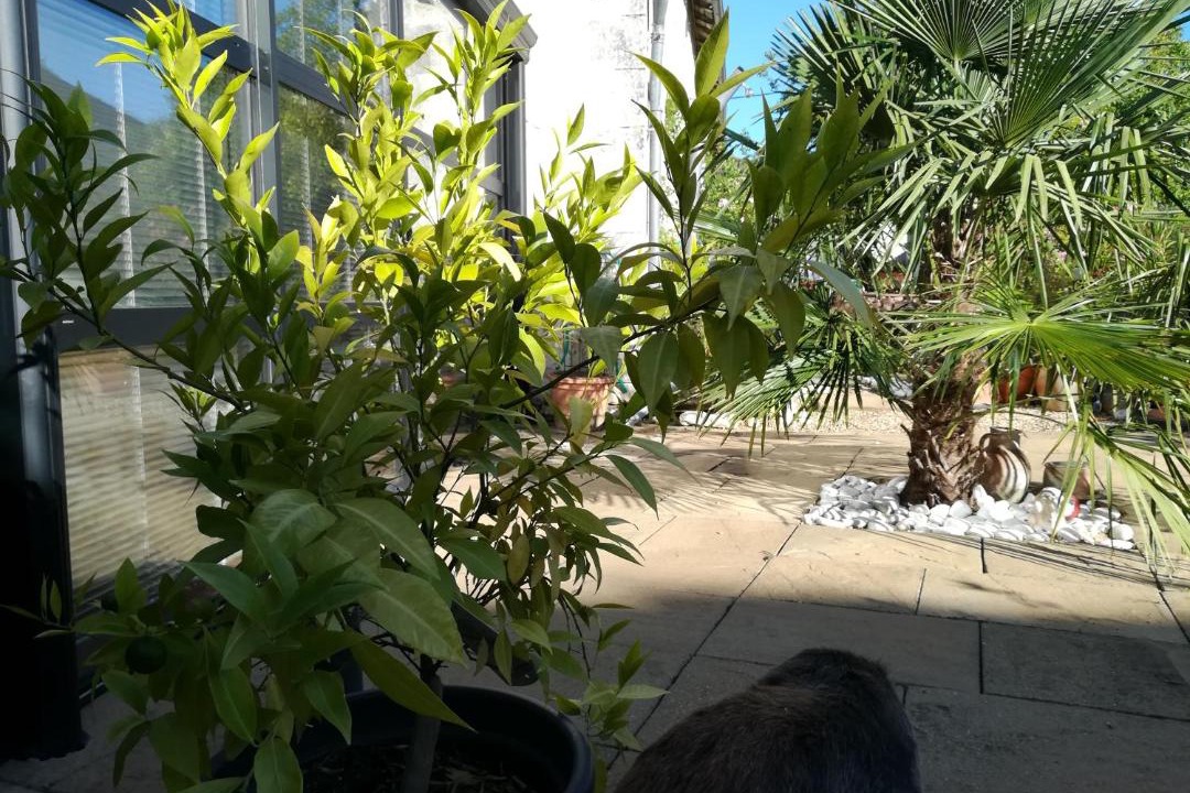 Photo of Others in Chabournay