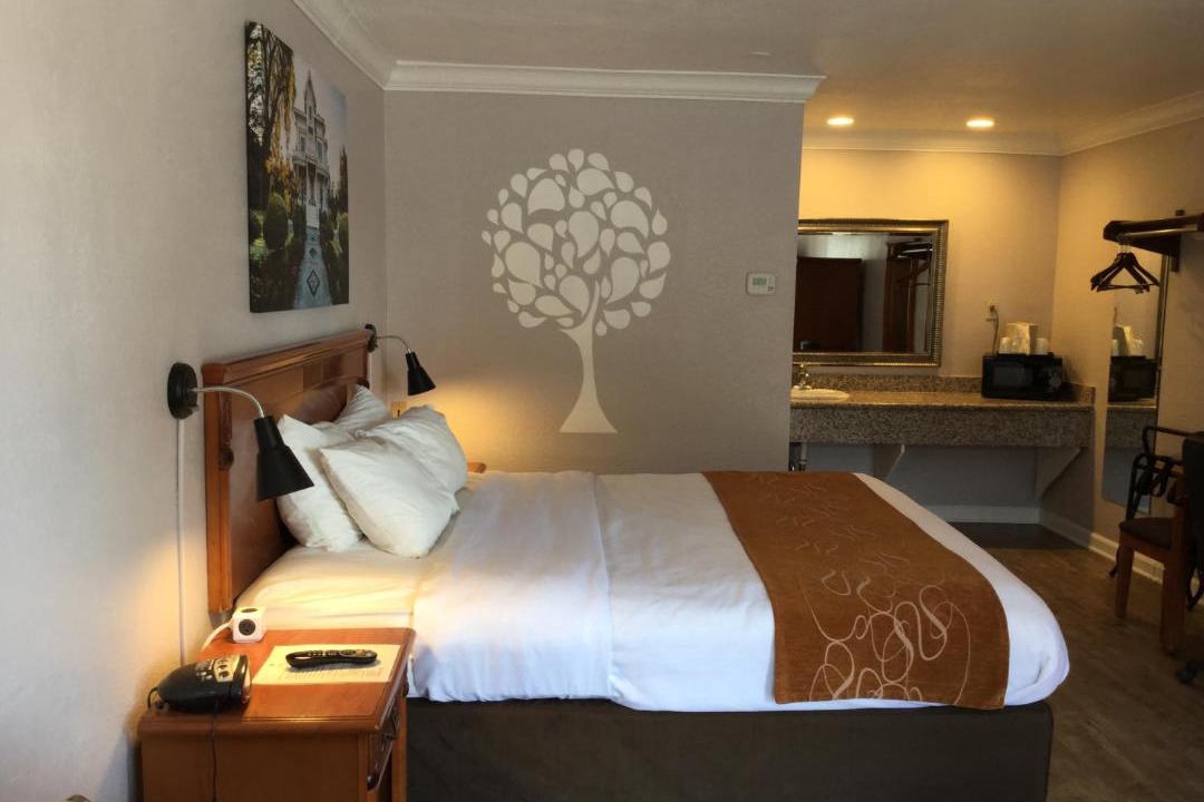 Photo of Others in Woodland