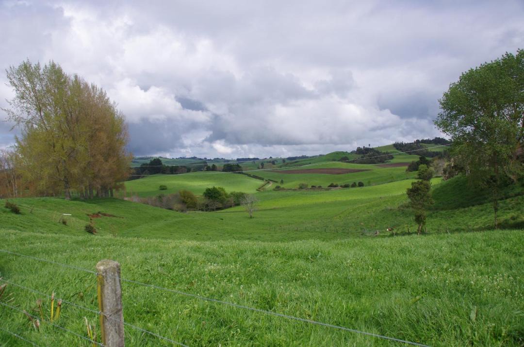 Photo of Others in Te Miro