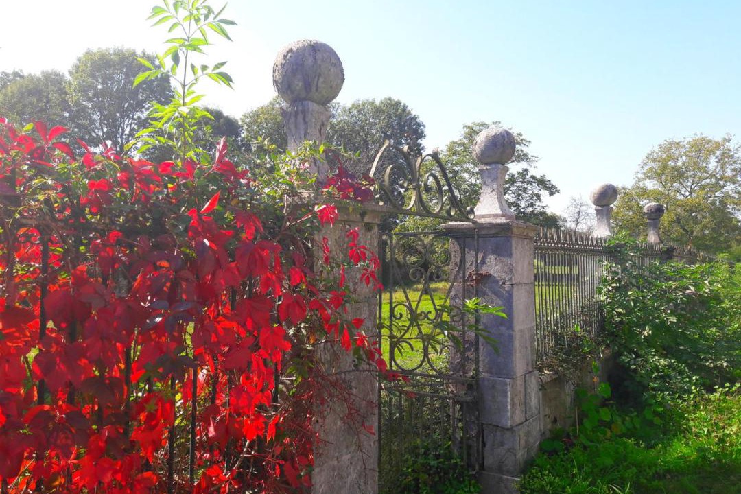 Photo of Others in Tuzaguet