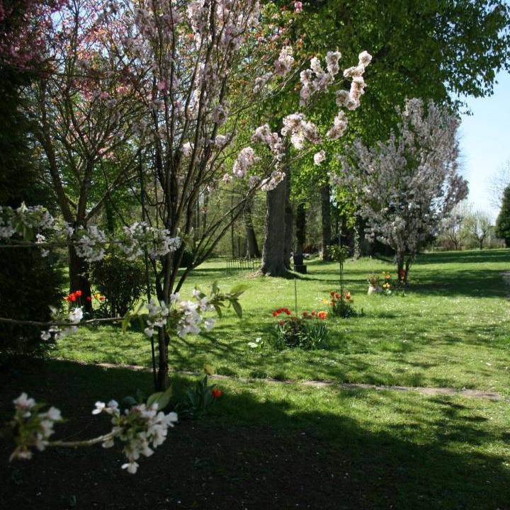 Photo of Others in Saint-Dizier