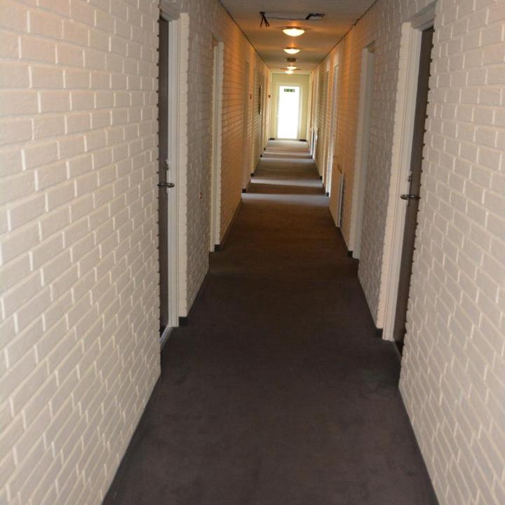 Photo of Others in Birk