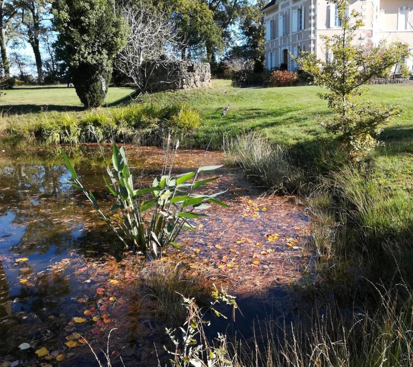 Photo of Others in Laglorieuse