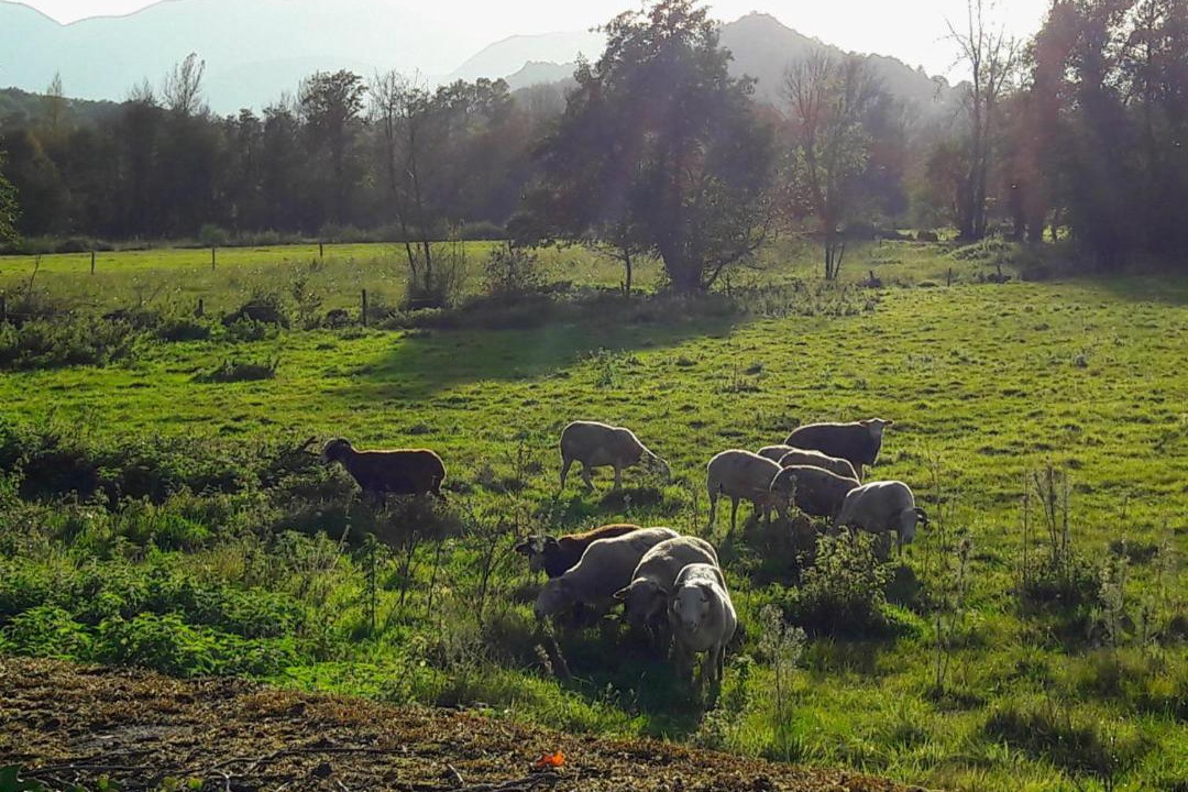 Photo of Others in Tuzaguet