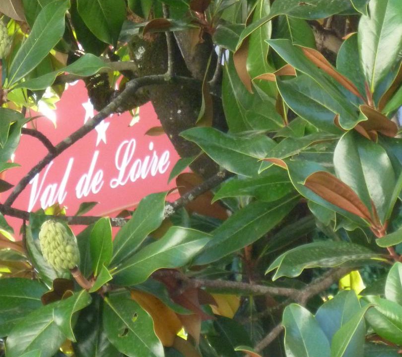 Photo of Others in Azay-le-Rideau