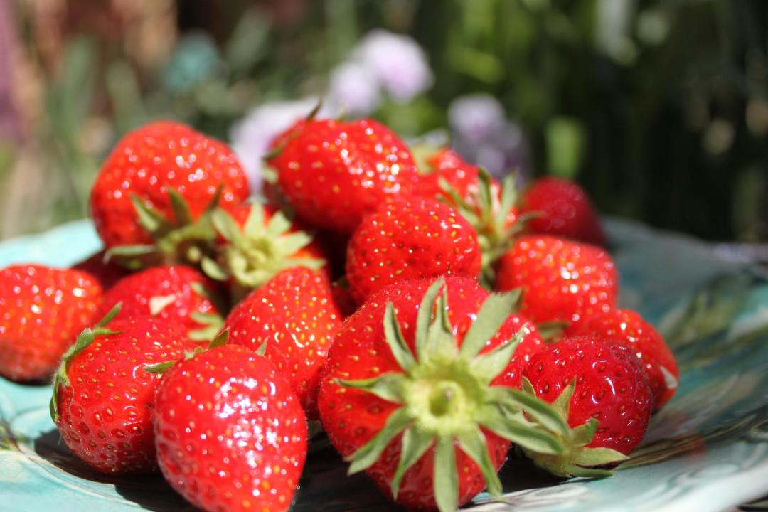 Photo of Others in Saint-Avit-Riviere