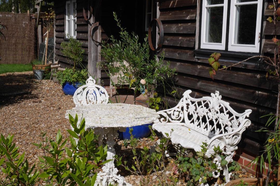 Photo of Others in New Forest District