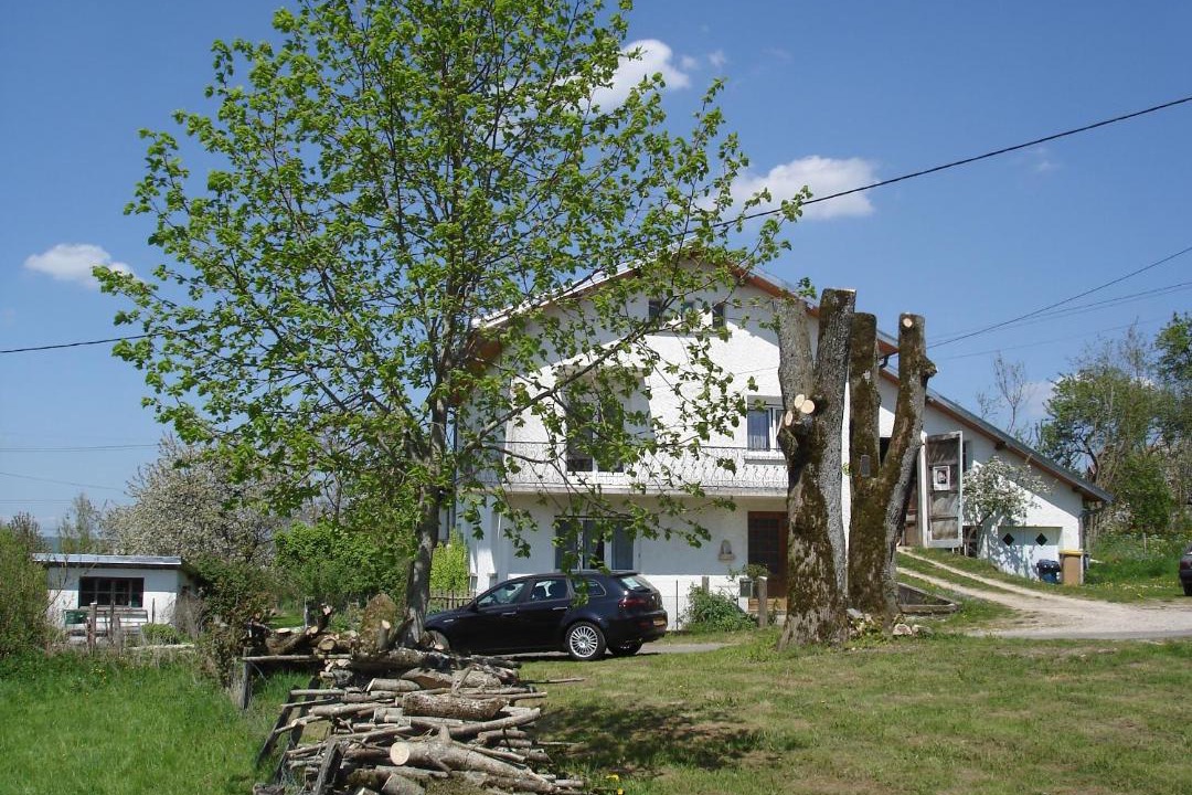 Photo of Others in Sancey - Belleherbe