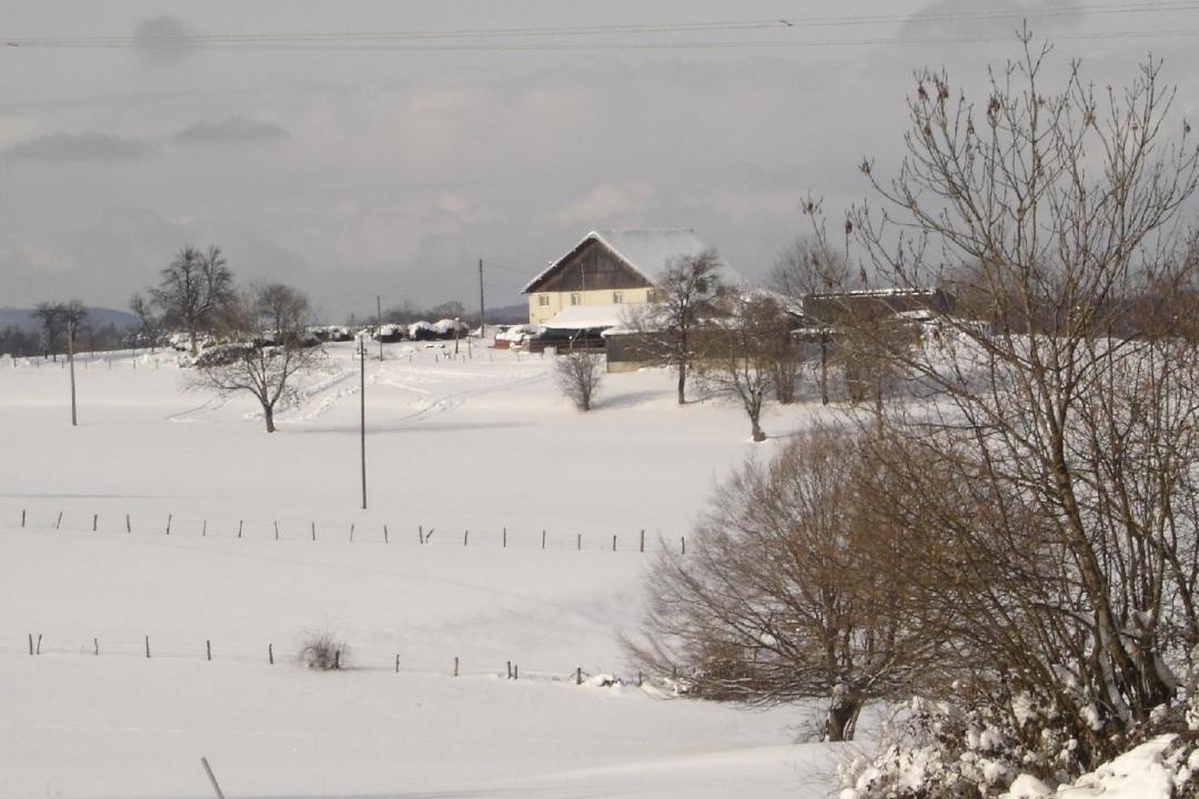 Photo of Others in Sancey - Belleherbe