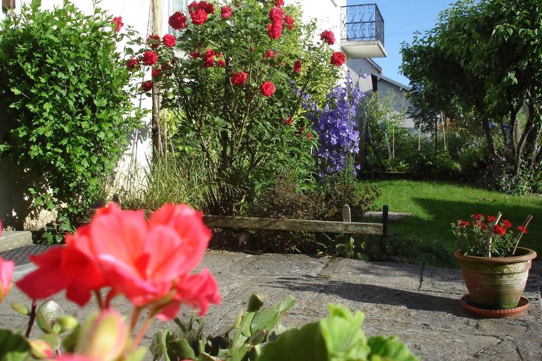 Photo of Others in Sancey - Belleherbe