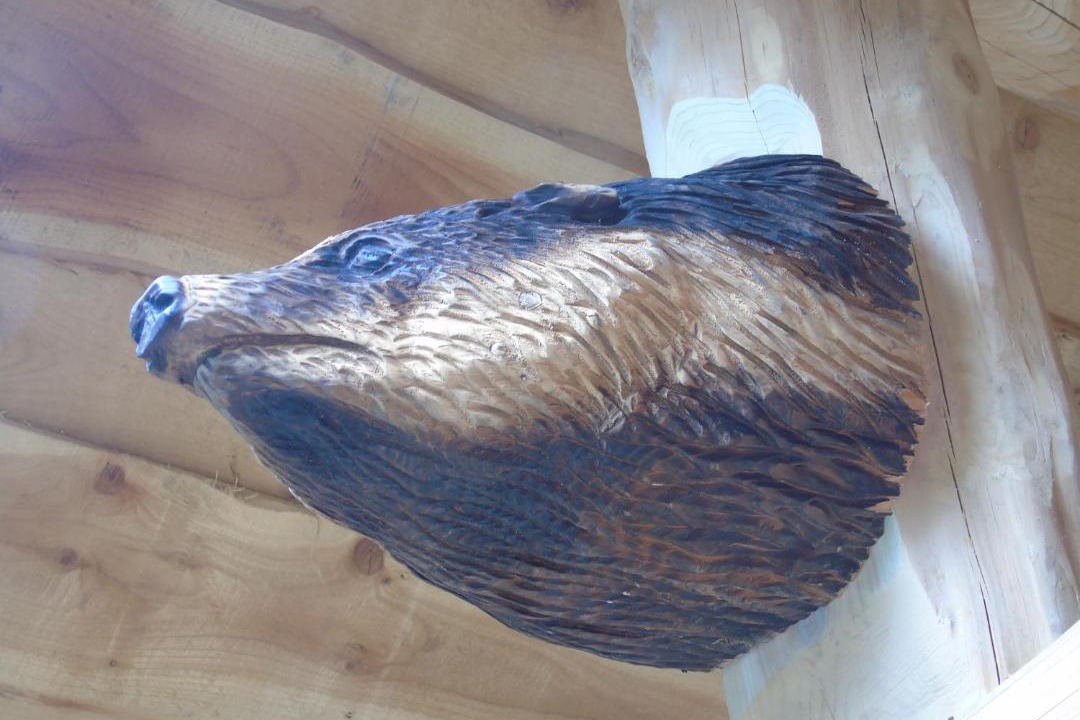 Photo of Others in Telford