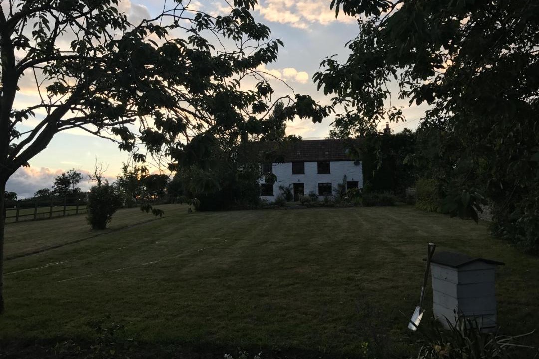 Photo of Buildings in Axbridge