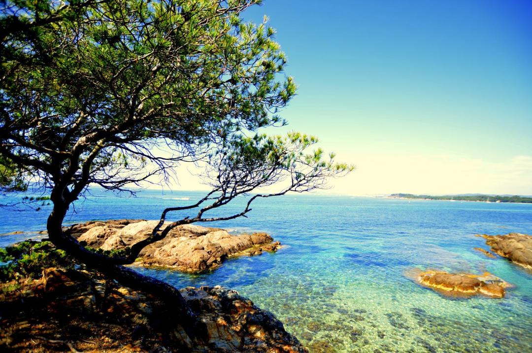 Photo of Outdoor in Le Pradet