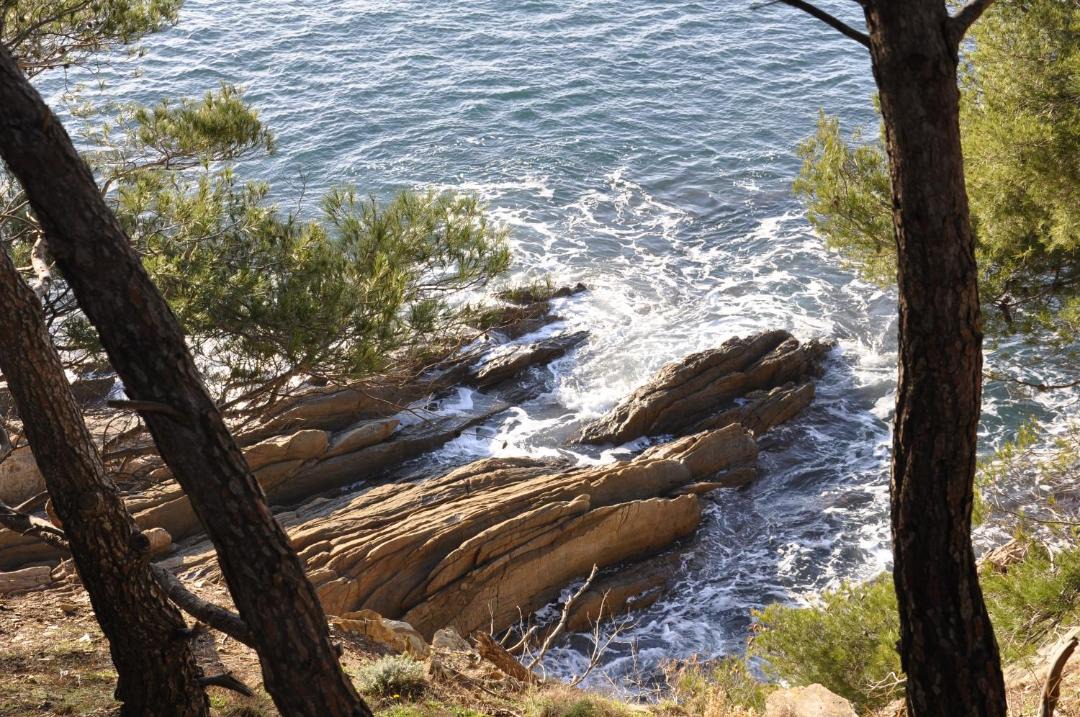 Photo of Others in Le Pradet