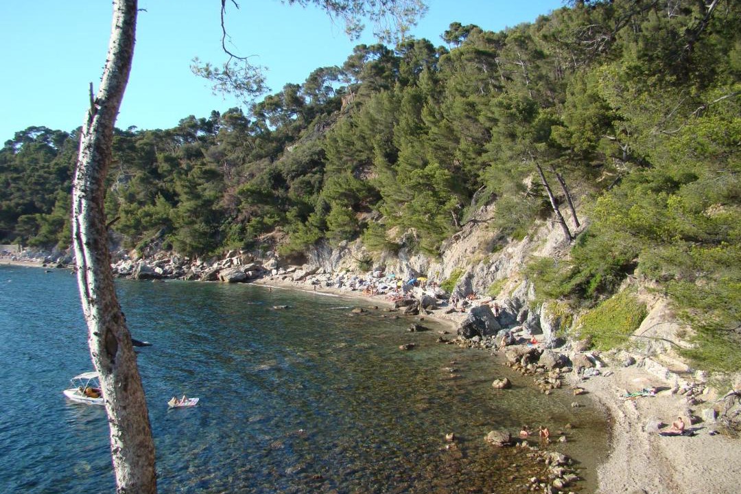 Photo of Outdoor in Le Pradet