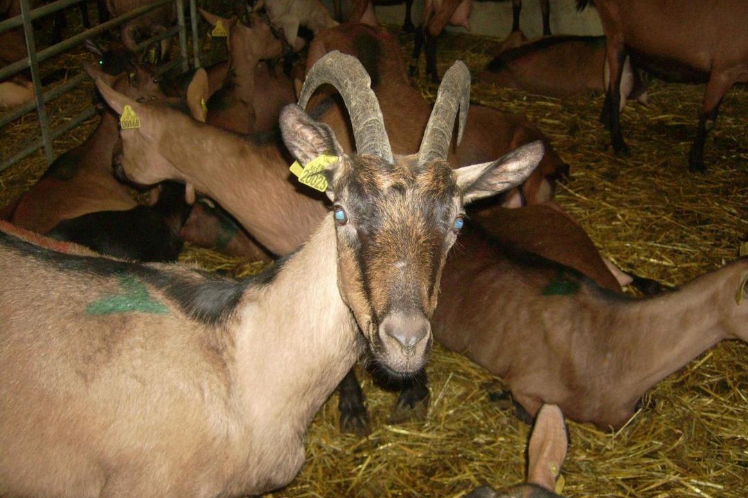 Photo of Others in La Canourgue