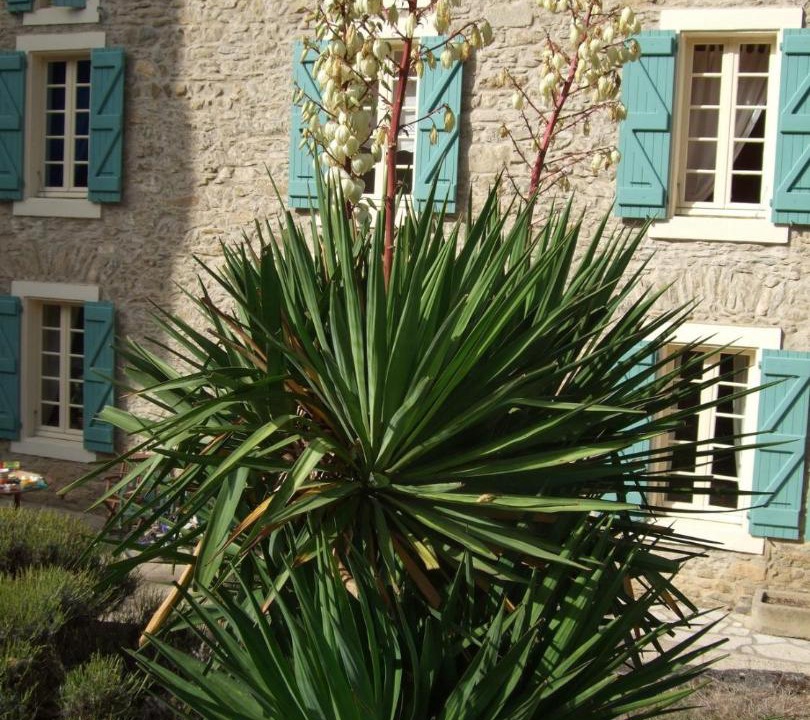 Photo of Others in Ladern-sur-Lauquet