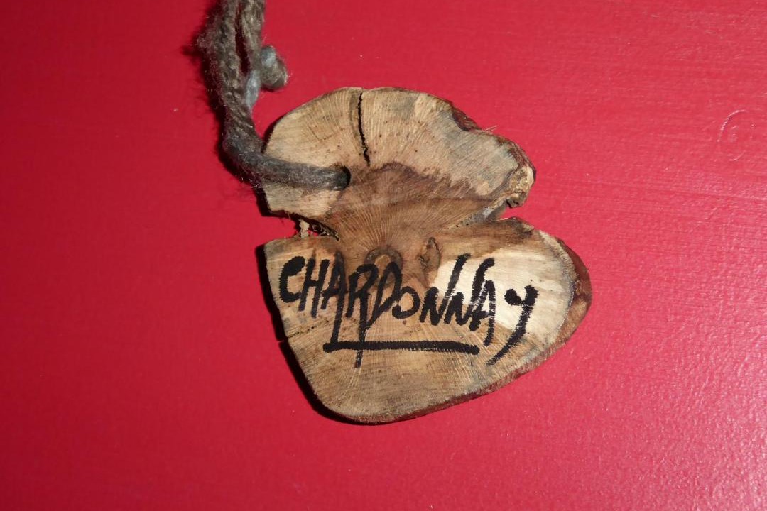 Photo of Others in Saint-Loup-Geanges