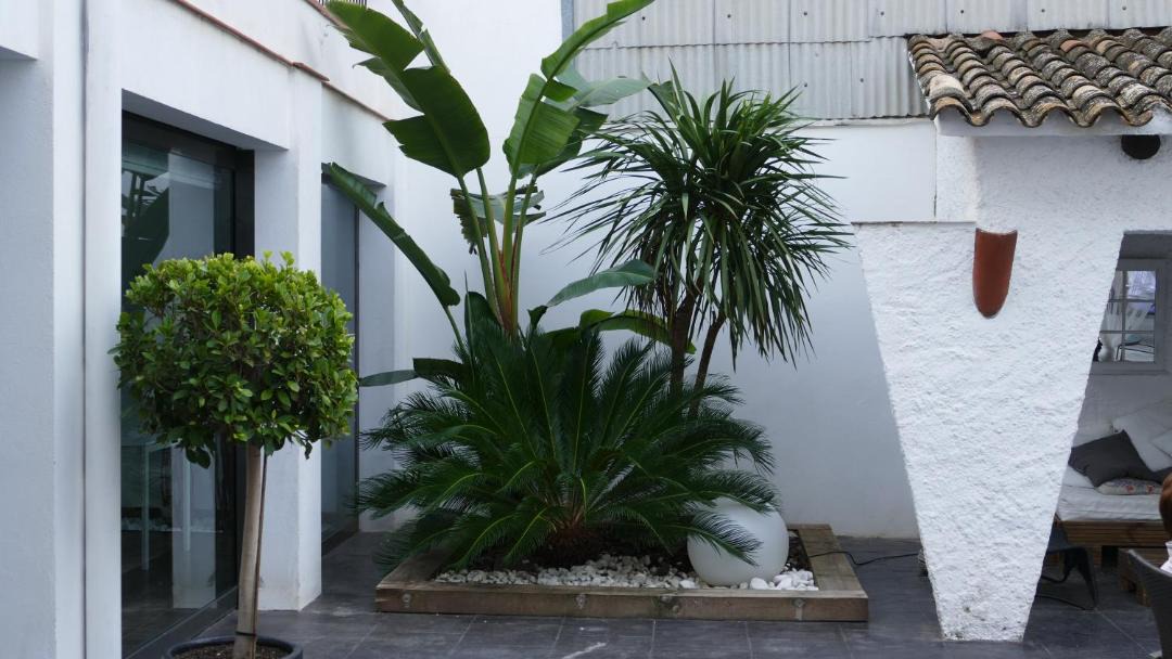 Photo of Patio Balcony in Calafell