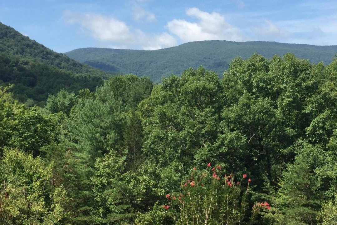 Photo of Others in Crozet