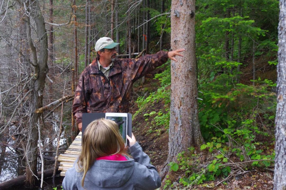 Photo of Others in Tadoussac