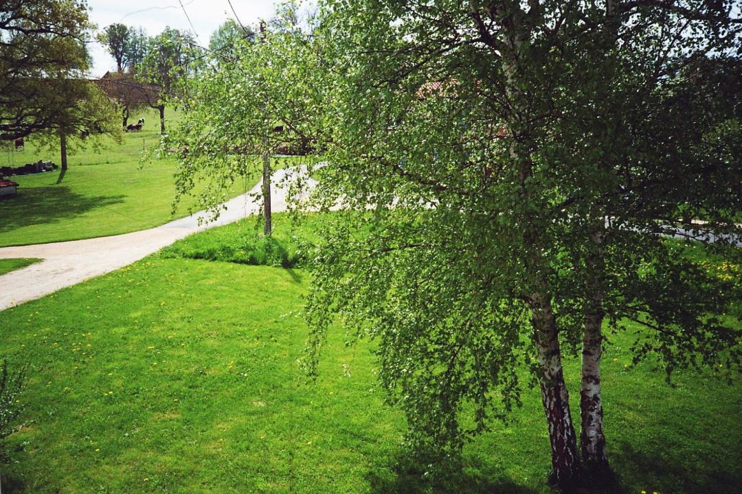 Photo of Others in Condat-les-Montboissier