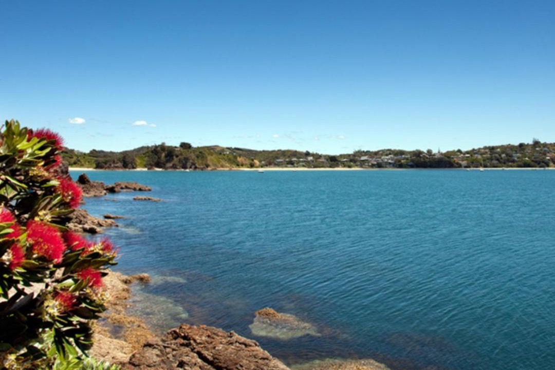 Photo of Others in Palm Beach