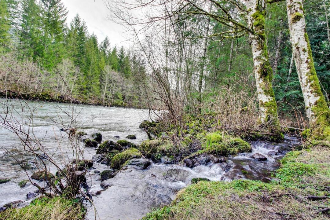 Photo of Others in Mount Hood Village
