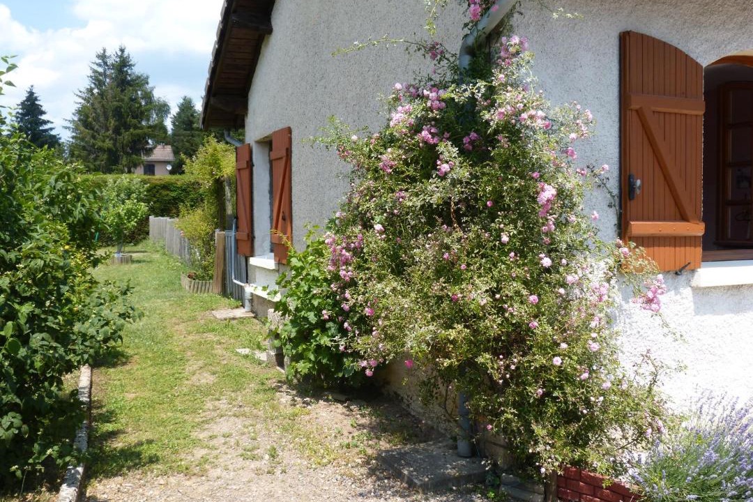 Photo of Others in Saint-Just-en-Chevalet