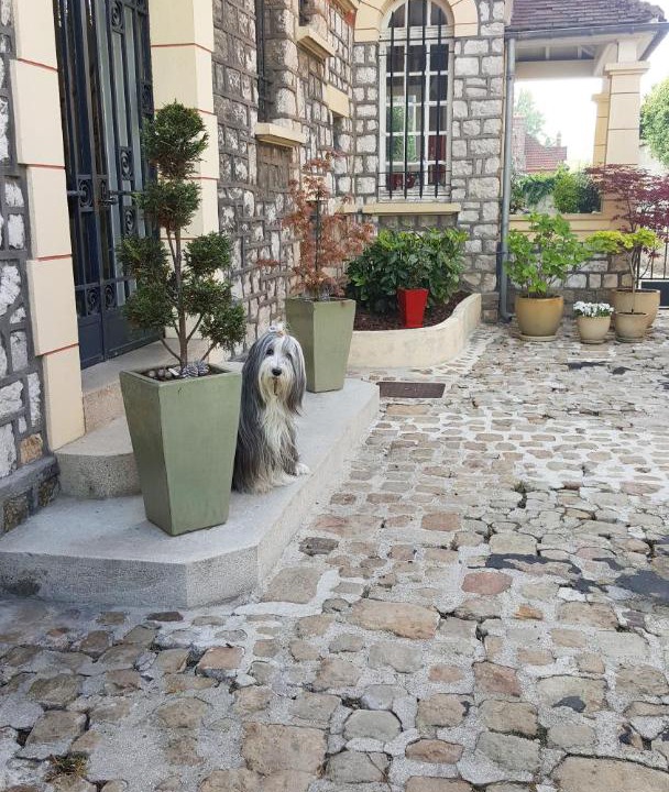 Photo of Others in Peronne