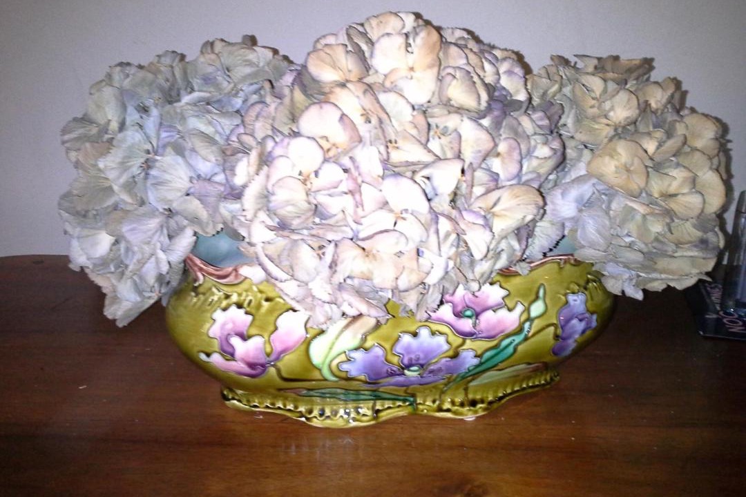 Photo of Others in Saint-Trivier-de-Courtes