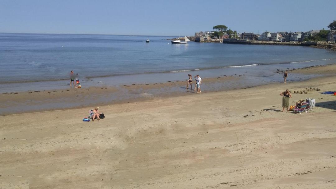 Photo of Others in Rockport