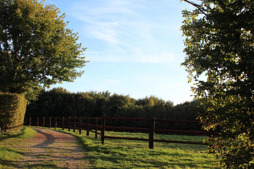 Photo of Others in Saint-Remy-du-Val