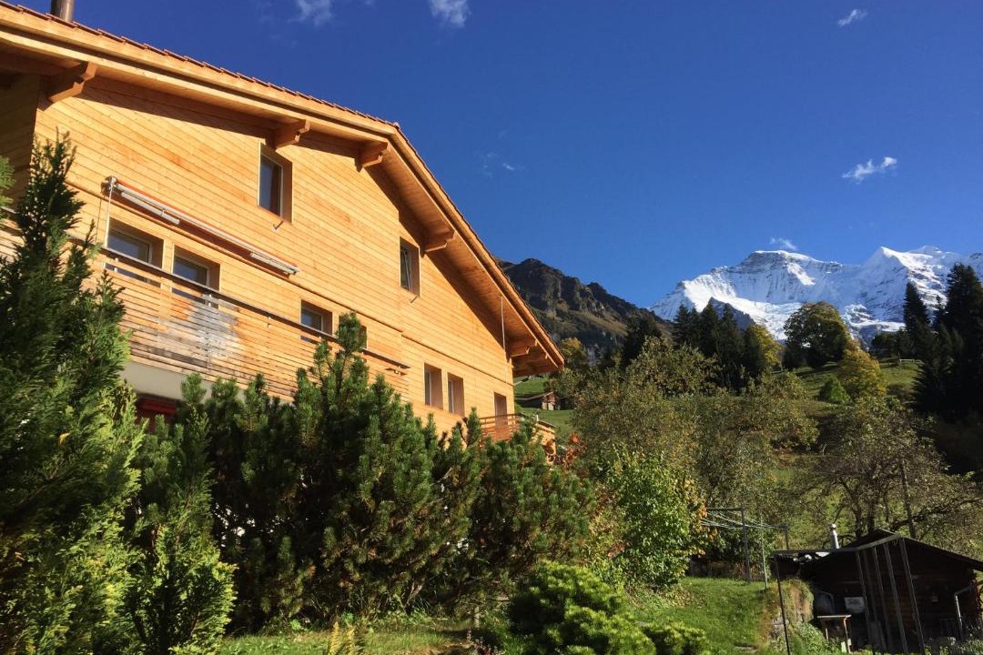Photo of Buildings in Wengen