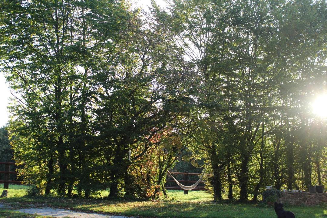 Photo of Others in Saint-Remy-du-Val