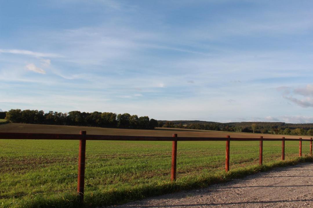 Photo of Others in Saint-Remy-du-Val