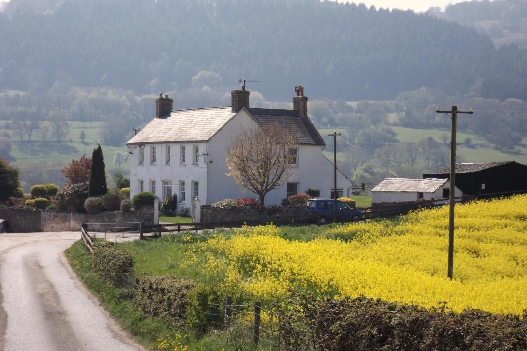 Photo of Others in Abergavenny
