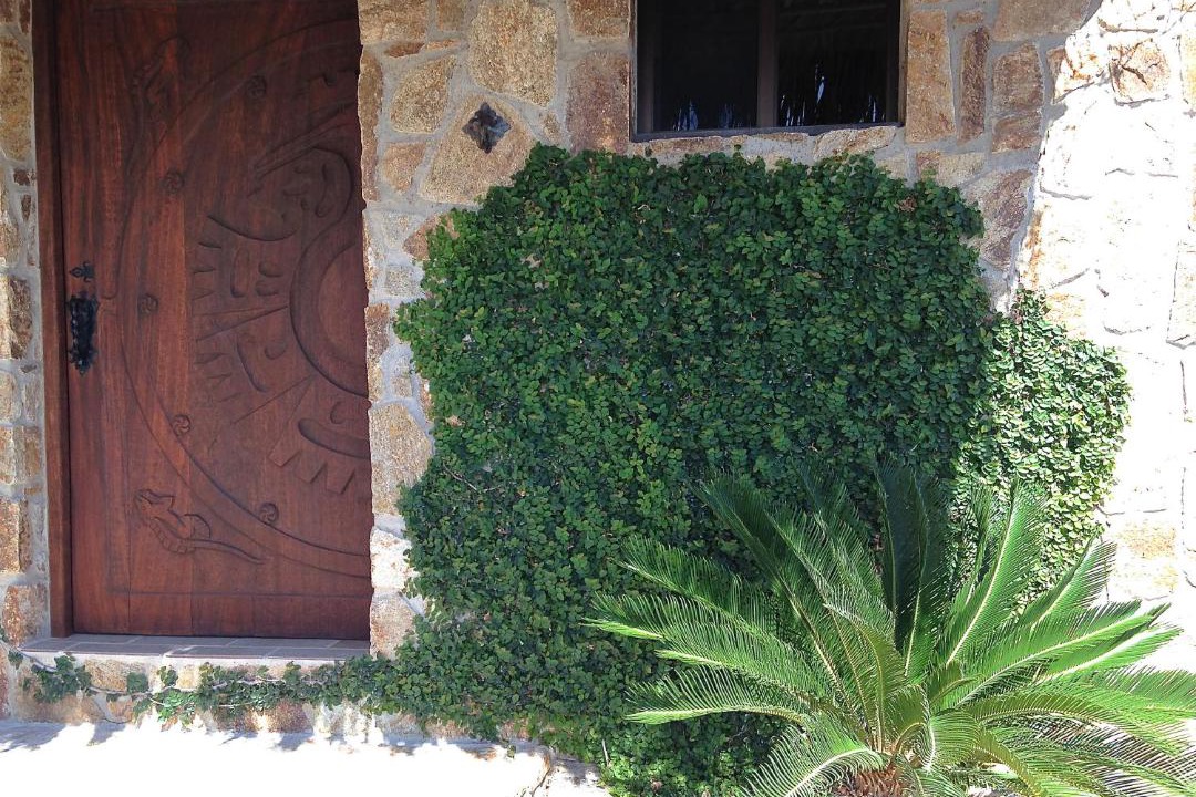 Photo of Others in El Sargento