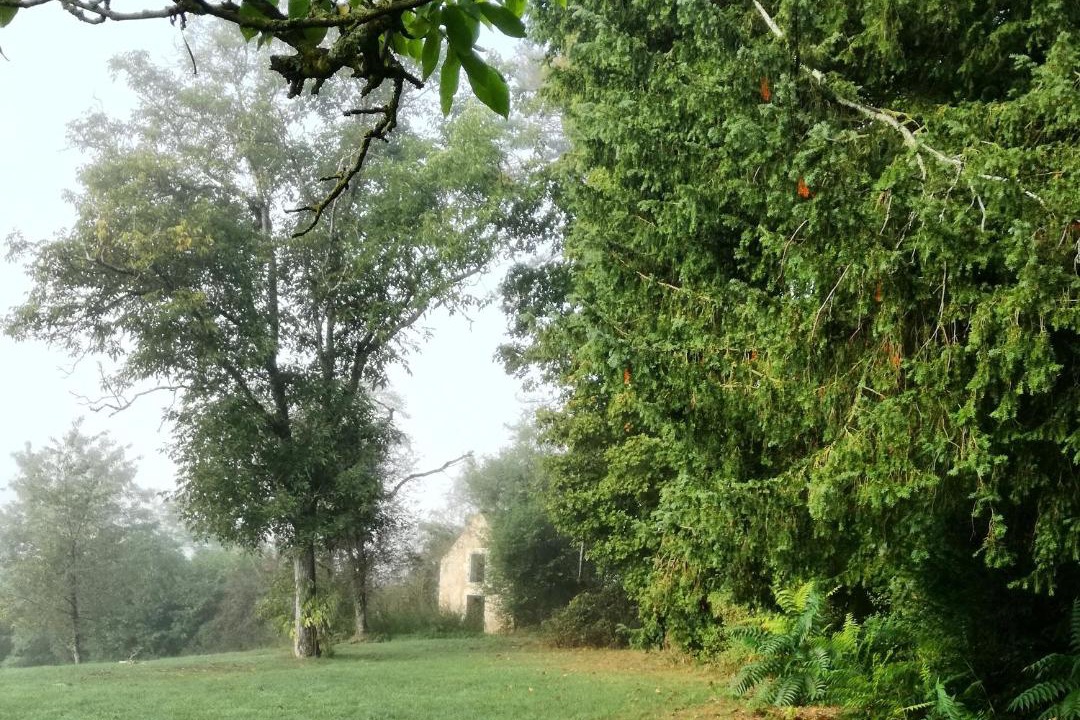 Photo of Outdoor in Saint-Gaultier